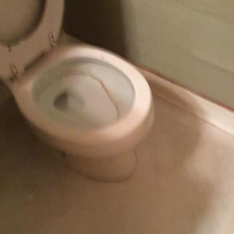 Toilet bowl with visible large crack and discoloration