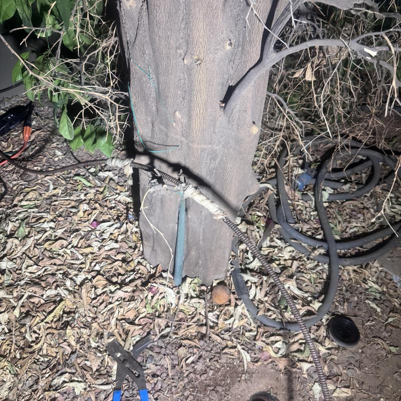 Sewer pipe inspection cable near tree roots and debris Sewer pipe inspection cable near tree roots and debris