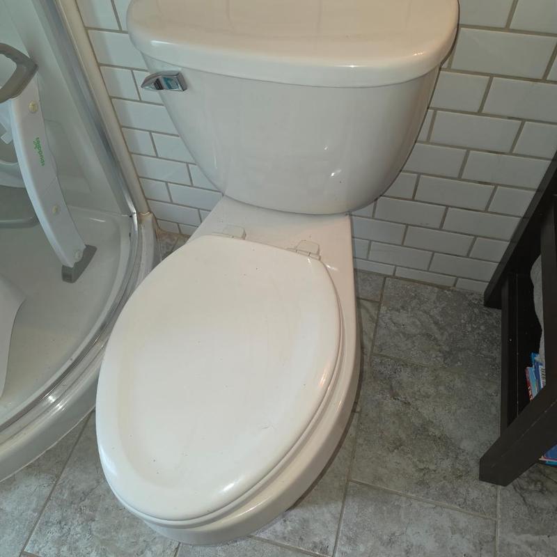 Powerflush bladders replacement and faucet installation Powerflush bladders replacement and faucet installation