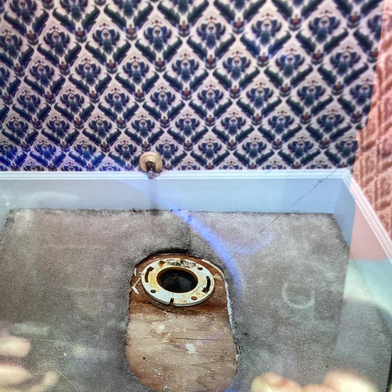 Toilet flange exposed with capped supply stop and carpet removed
