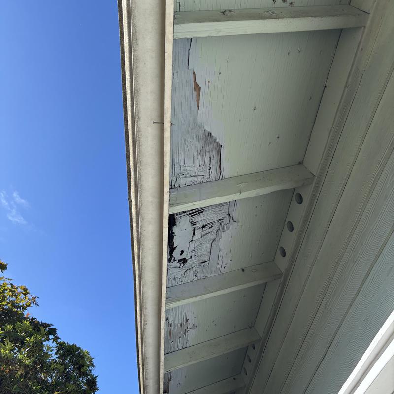 Roof soffit with peeling paint and wood damage Roof soffit with peeling paint and wood damage