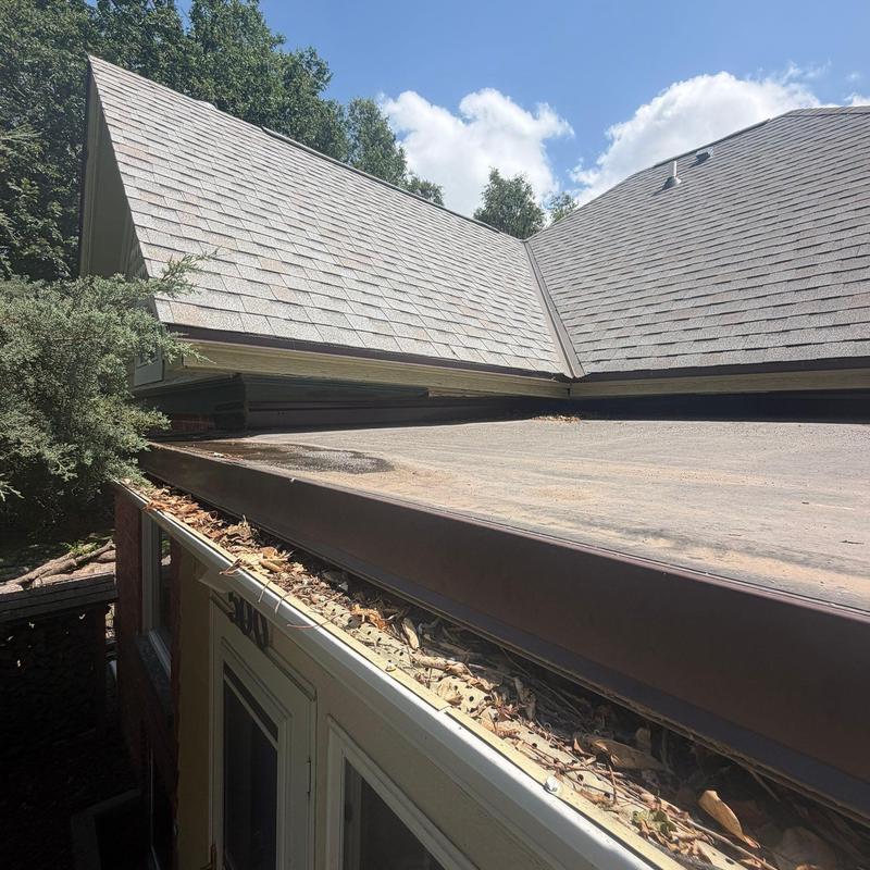 Asphalt shingle roof and clogged gutter with debris Asphalt shingle roof and clogged gutter with debris