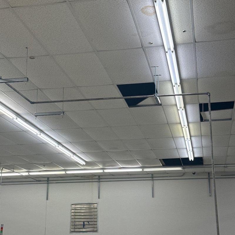 Ceiling tiles with water stains and damage