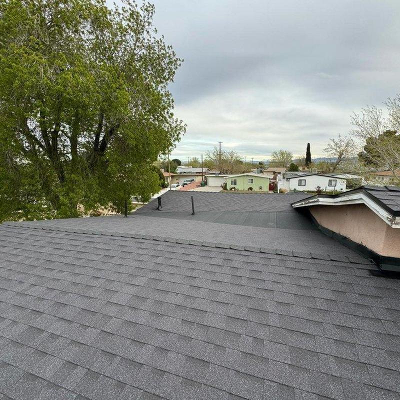Shingle roof inspection with vent pipes visible Shingle roof inspection with vent pipes visible
