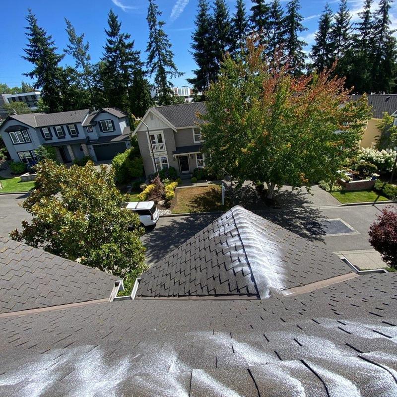 Roof shingles with moss treatment and cleaning in Arlington