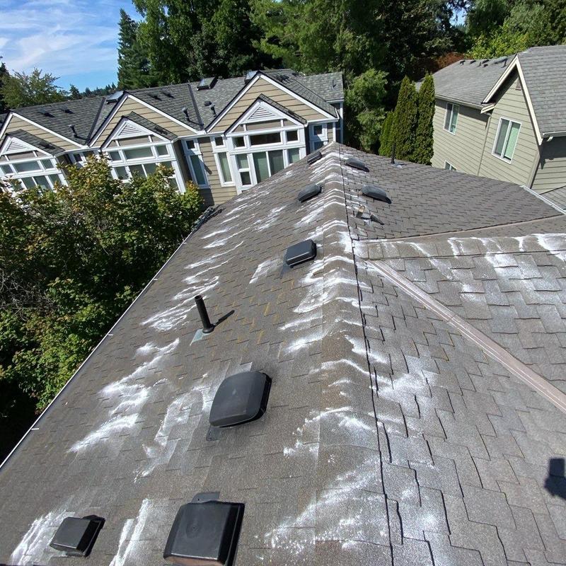 Roof shingles with moss treatment residue in Arlington
