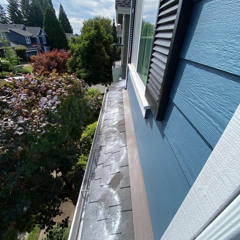 Roof shingles with moss treatment and gutter cleaning