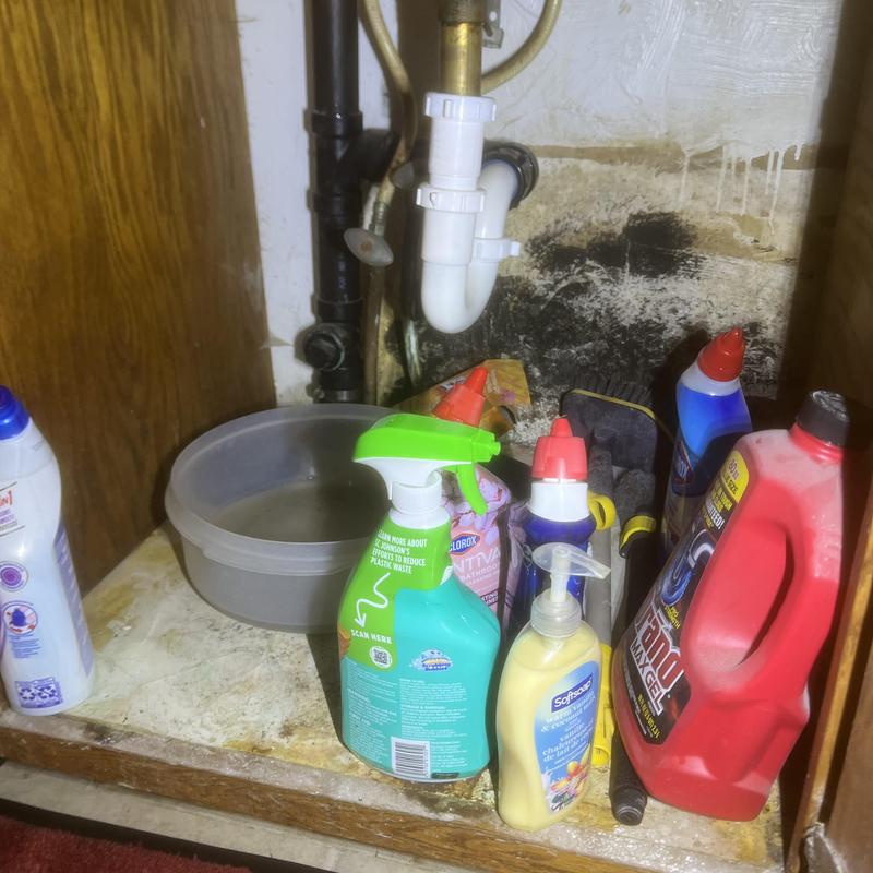Bathroom sink drain pipe under cabinet with mold and cleaning supplies Bathroom sink drain pipe under cabinet with mold and cleaning supplies