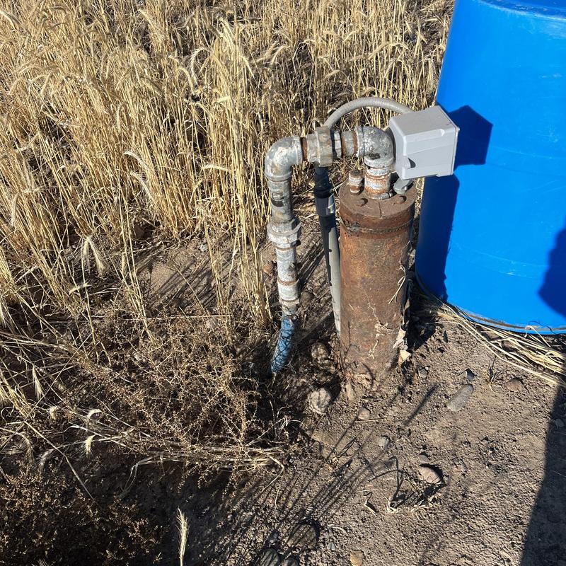 Well pressure switch and rusty piping by blue barrel