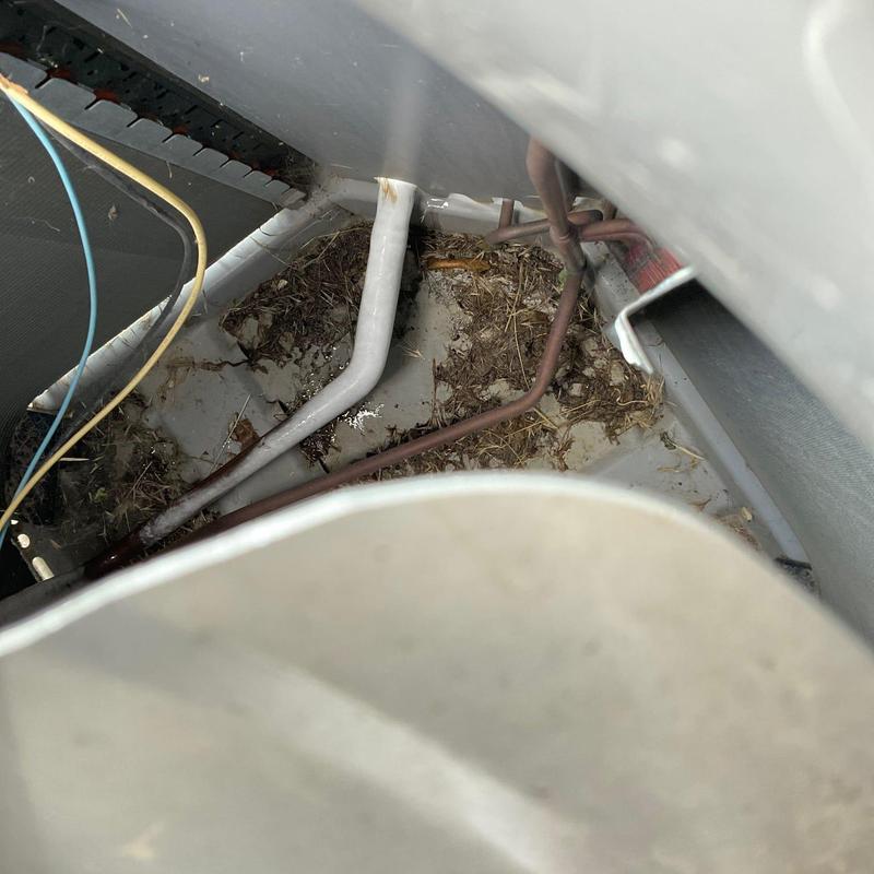 Frozen refrigerant lines inside outdoor AC condenser unit