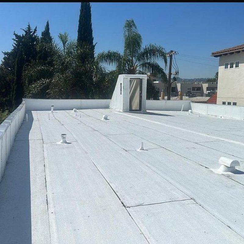 Flat roofing membrane inspection with roof access hatch Flat roofing membrane inspection with roof access hatch