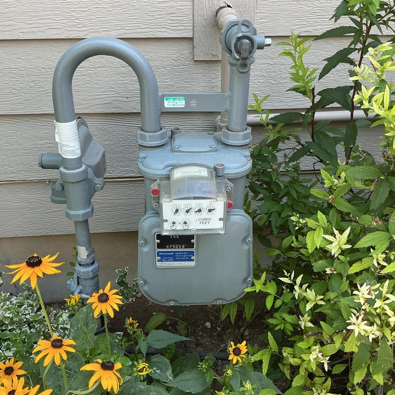 Gas meter and piping installation estimate with foliage Gas meter and piping installation estimate with foliage