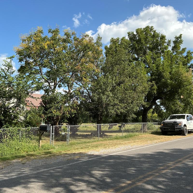 Tree trimming and removal with bucket truck in Pittsburg County