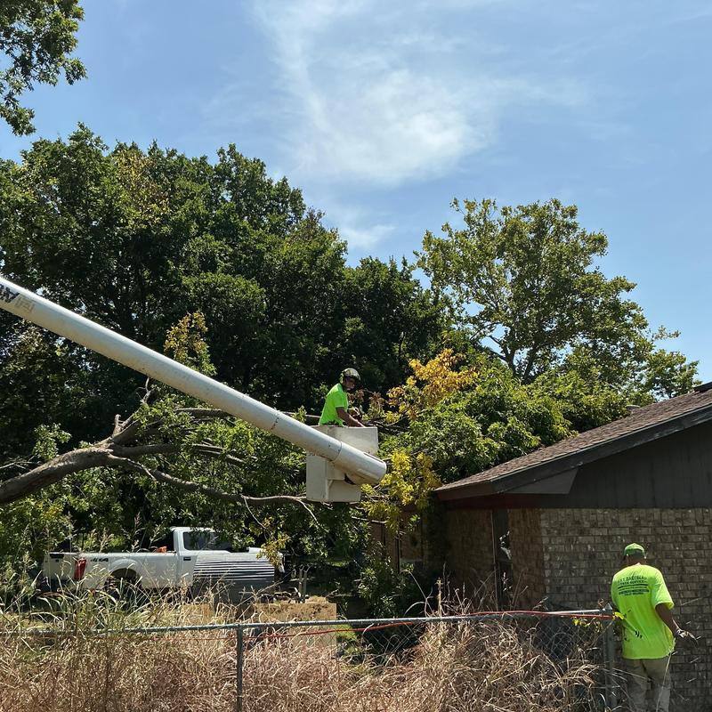 Hazardous tree removal from roof using bucket truck Hazardous tree removal from roof using bucket truck