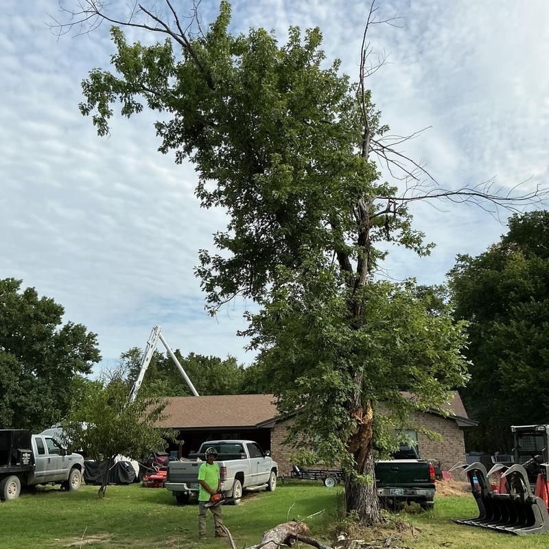 Hazardous tree removal near house with bucket truck Hazardous tree removal near house with bucket truck