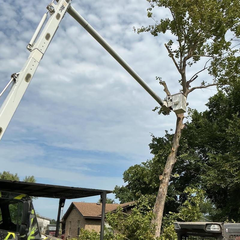 Hazardous tree removal using bucket truck in backyard Hazardous tree removal using bucket truck in backyard