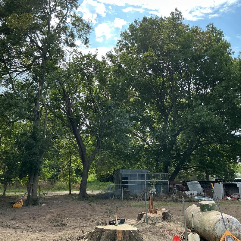 Hazardous tree removal near home with bucket truck Hazardous tree removal near home with bucket truck