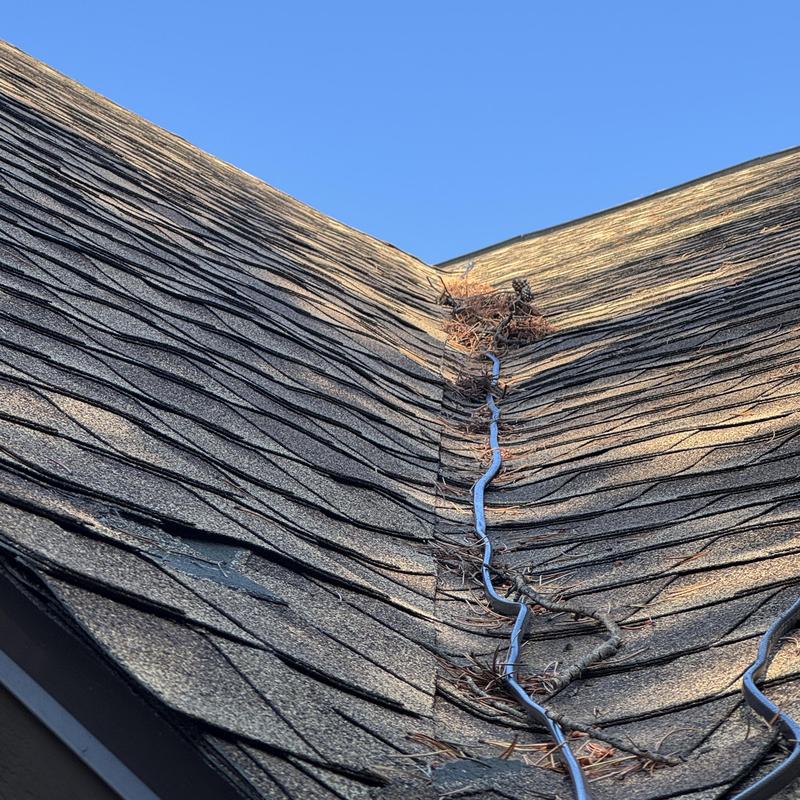 Asphalt shingles with ice damage and heat tape installation issues