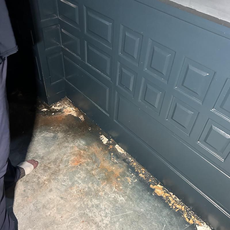 Crawl space floor water damage and debris accumulation Crawl space floor water damage and debris accumulation