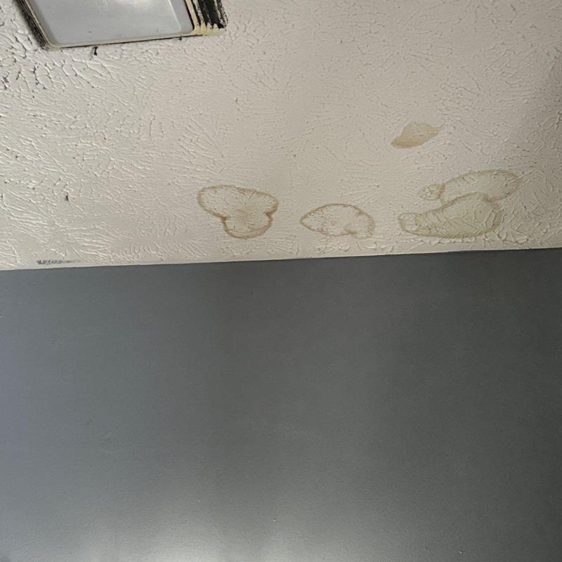 Ceiling water stains and damage near air vent