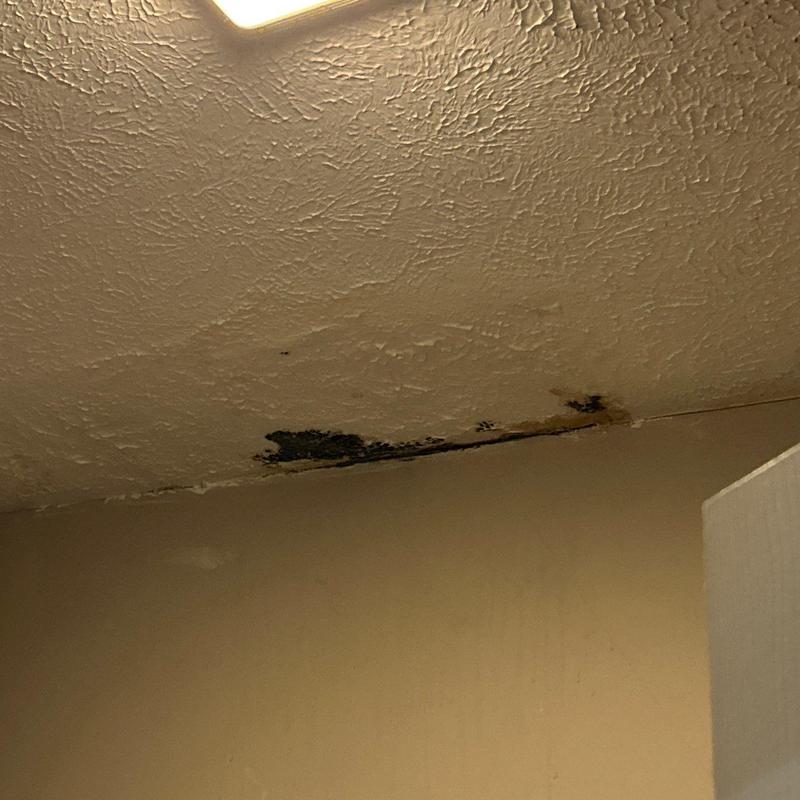 Ceiling water damage and mold stain near wall corner