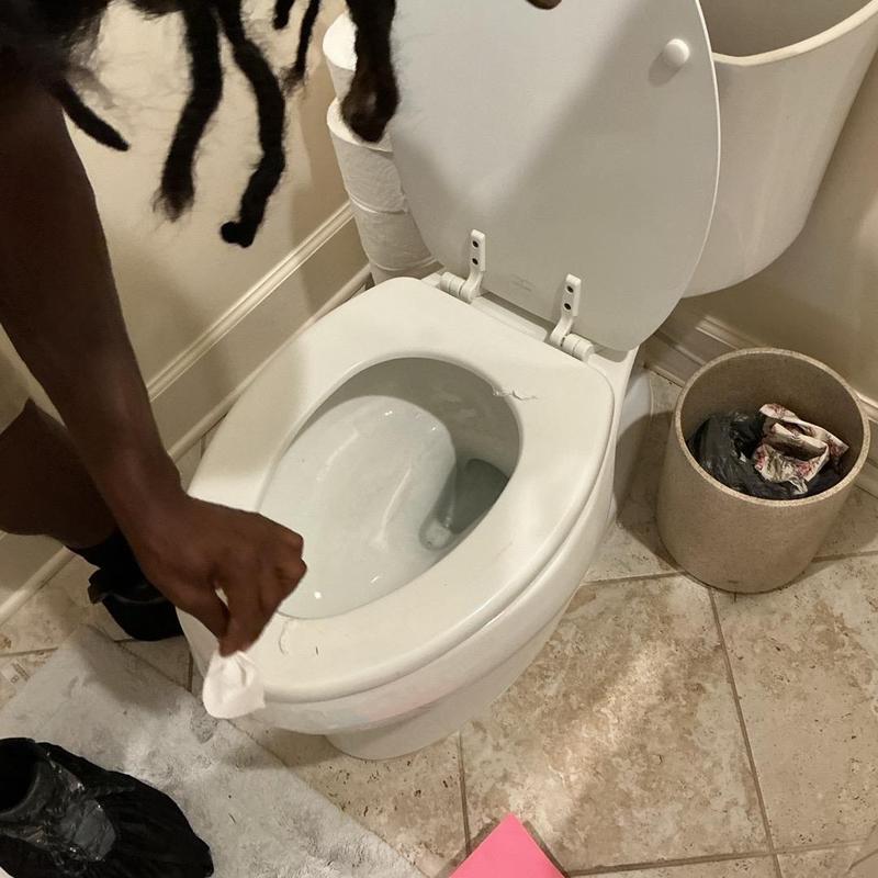 Toilet bowl with open lid and person cleaning inside Toilet bowl with open lid and person cleaning inside