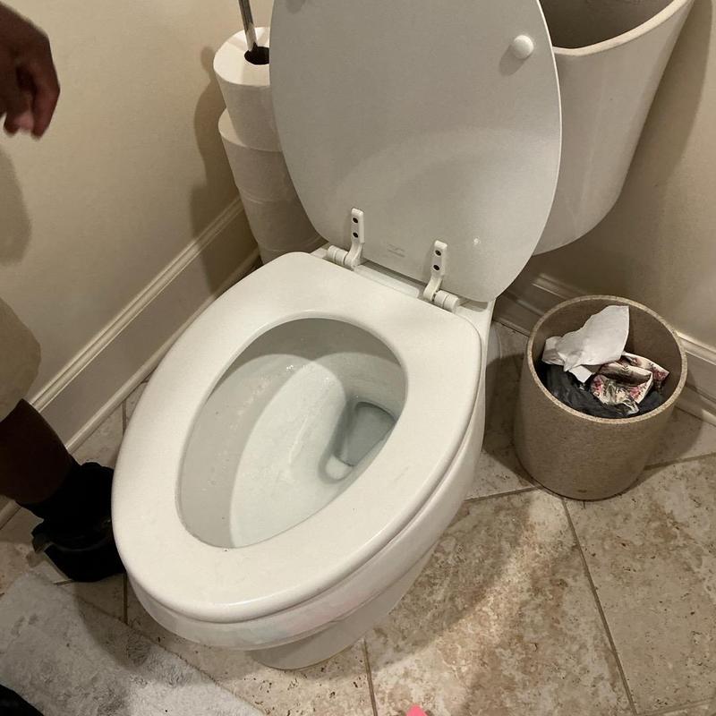 Toilet bowl and tank with open lid in bathroom Toilet bowl and tank with open lid in bathroom