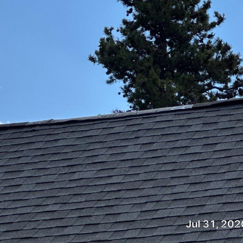 Asphalt shingle roof with tree background