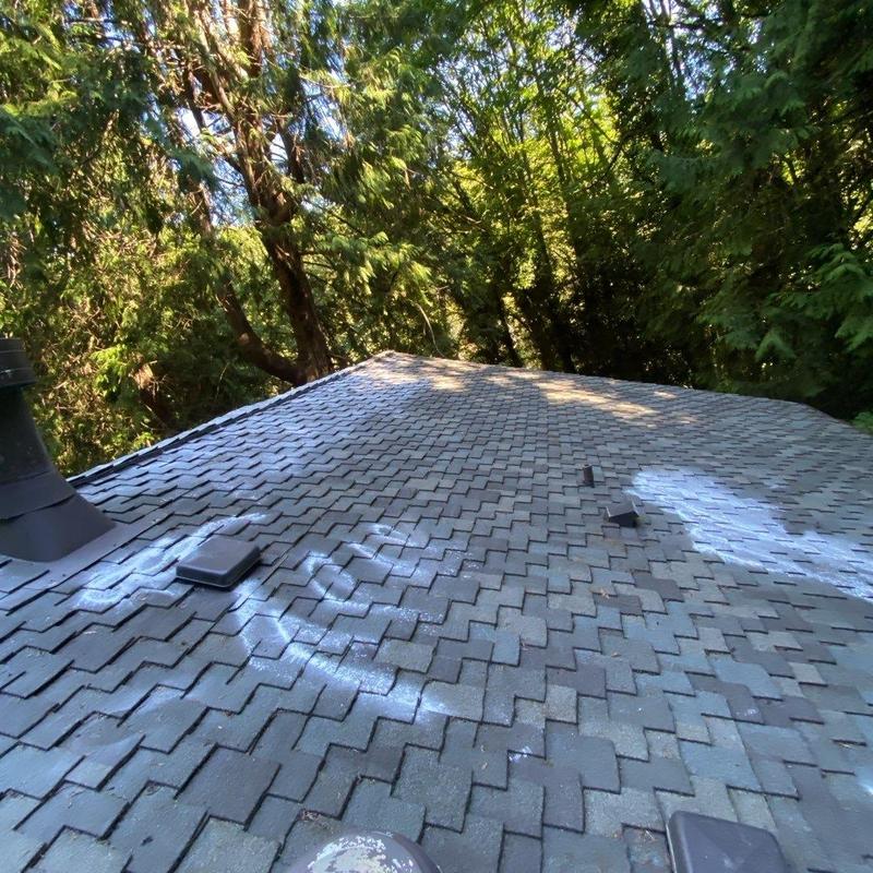 Asphalt shingle roof with markings in wooded area