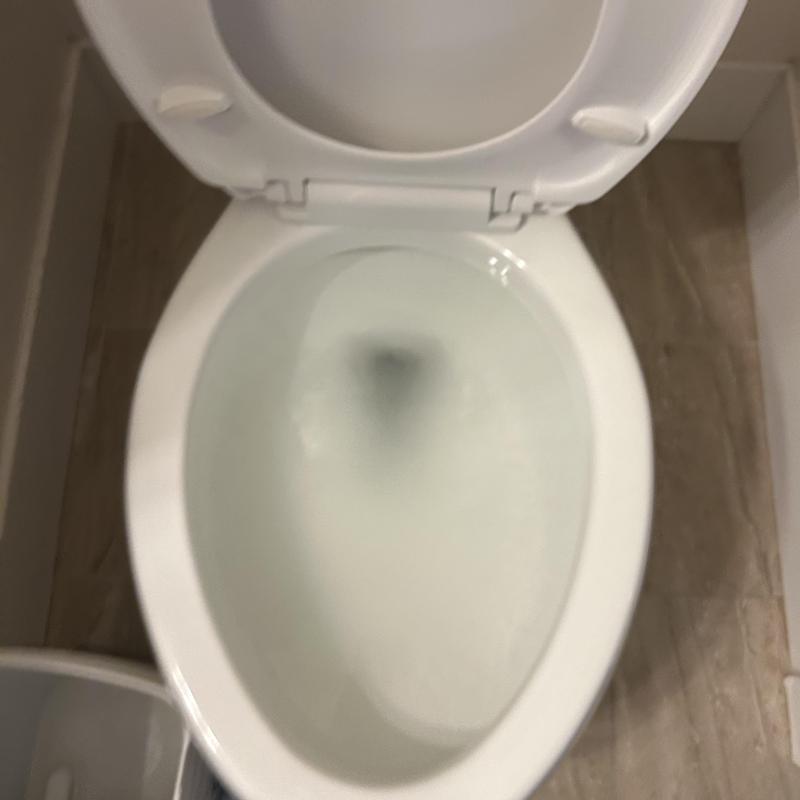 Toilet bowl with open lid after unclogging