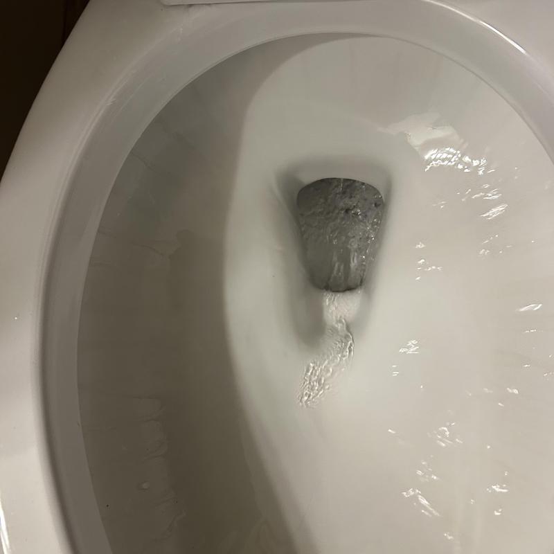 Toilet bowl flushing and draining after clog fix