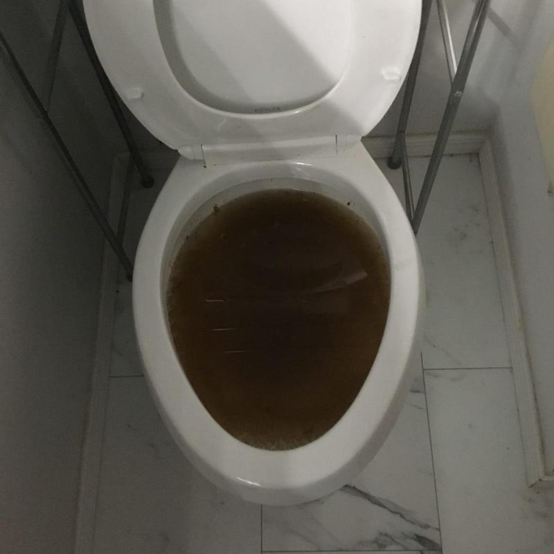 Toilet bowl with clogged and dirty water blockage Toilet bowl with clogged and dirty water blockage