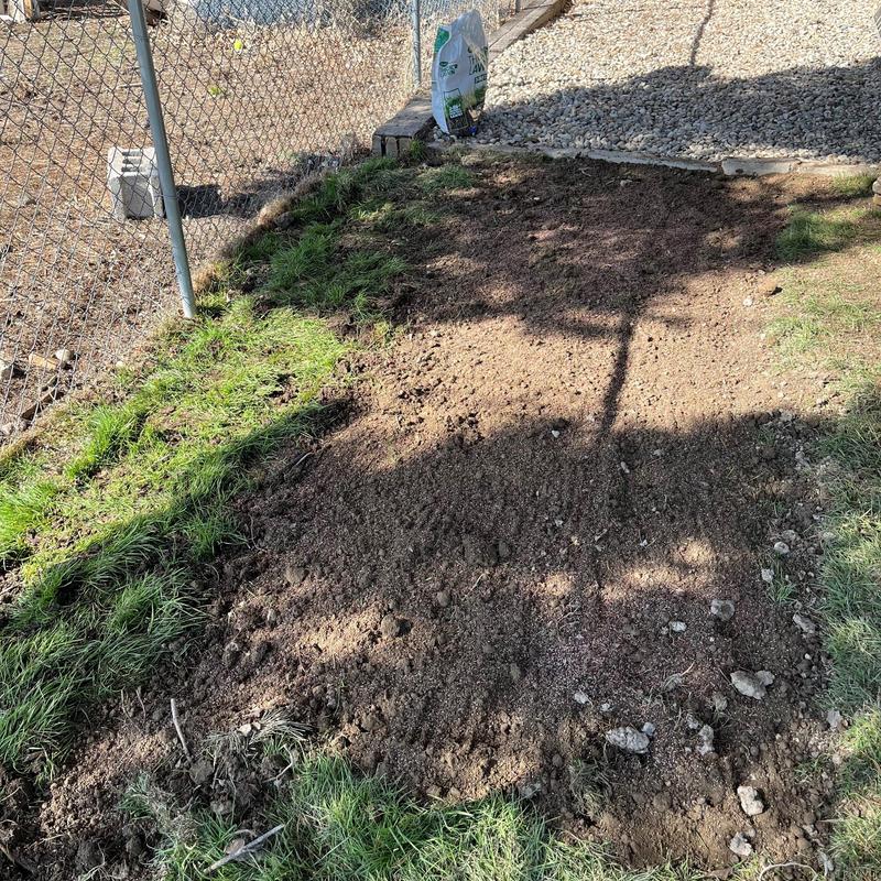 Main waterline repair area with disturbed soil and grass Main waterline repair area with disturbed soil and grass