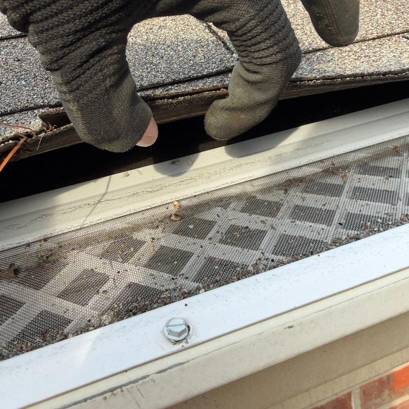 Gutter mesh guard with debris and glove inspecting shingles