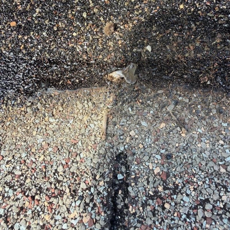 Asphalt shingle granules showing wear and damage on roof