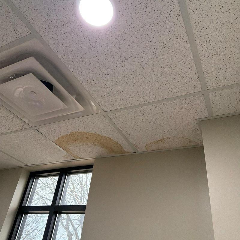 Ceiling tiles with water stains near vent and window
