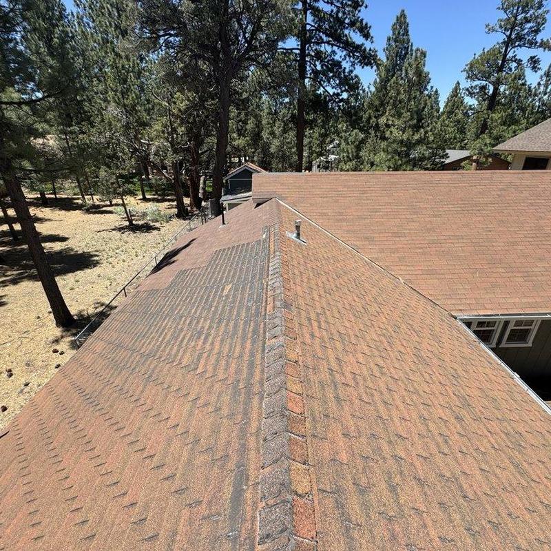 Shingle roof ridge and surface inspection in wooded area Shingle roof ridge and surface inspection in wooded area