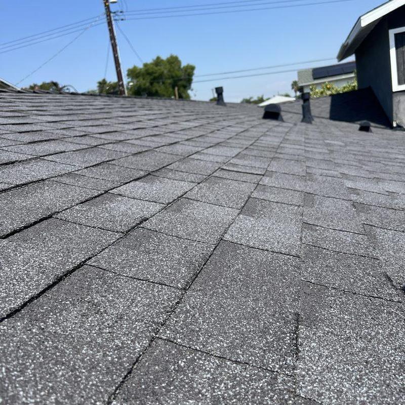Shingle roof close-up showing granular surface condition Shingle roof close-up showing granular surface condition