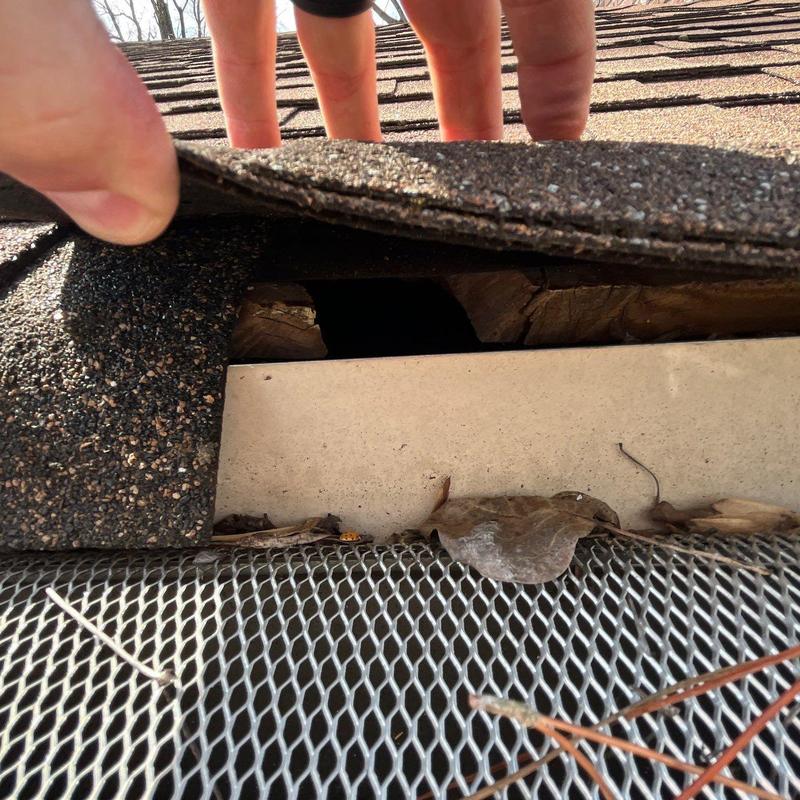 Shingle roof lift revealing damaged flashing and decking