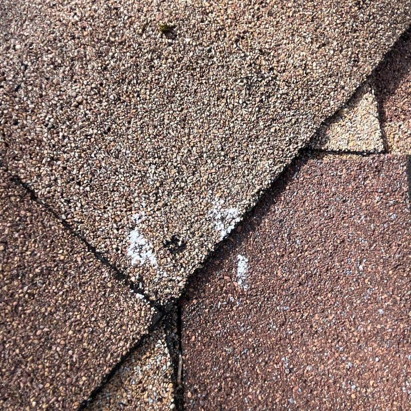 Asphalt shingles with hail damage and wear