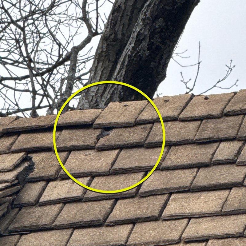 Roof shingles with hail damage and cracks close-up