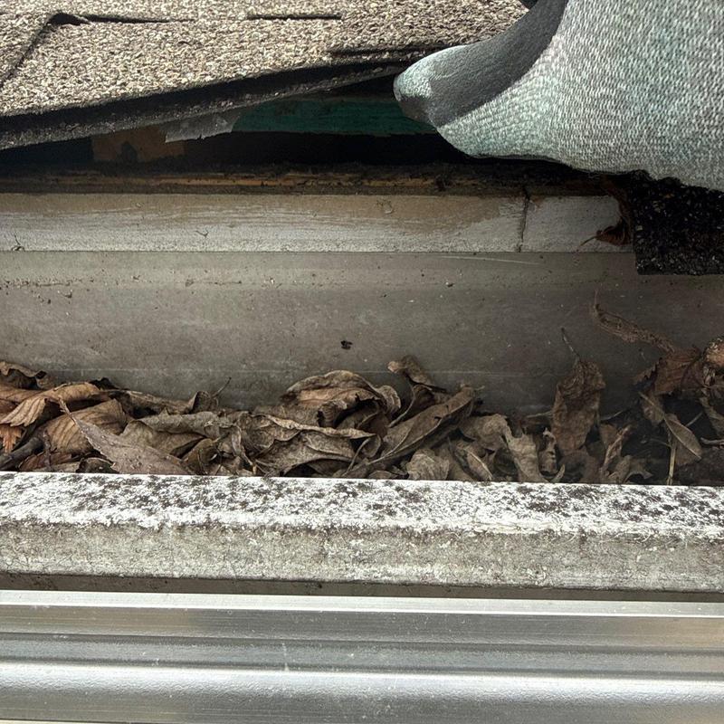 Roof shingles lifted to show decayed wood and debris buildup