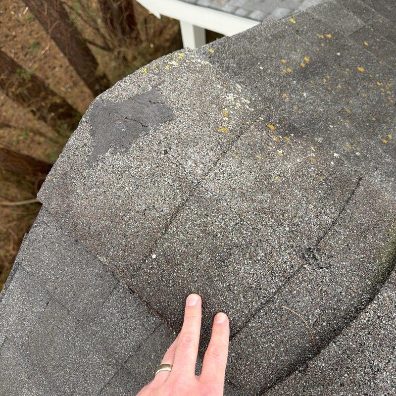 Roof shingle granule loss and hail damage close-up