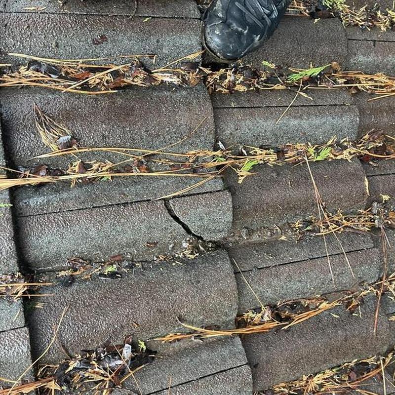 Clay tile roof with cracked tiles and debris Clay tile roof with cracked tiles and debris