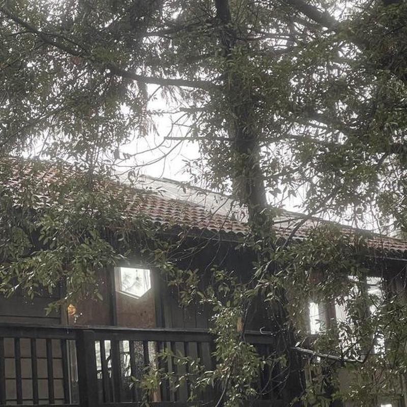 Clay tile roof with surrounding mature trees in Murphys Clay tile roof with surrounding mature trees in Murphys