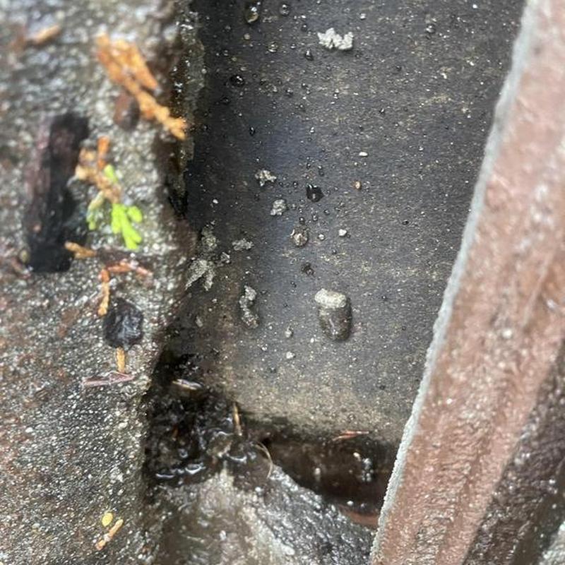Clay tile roof close-up showing debris and wear Clay tile roof close-up showing debris and wear