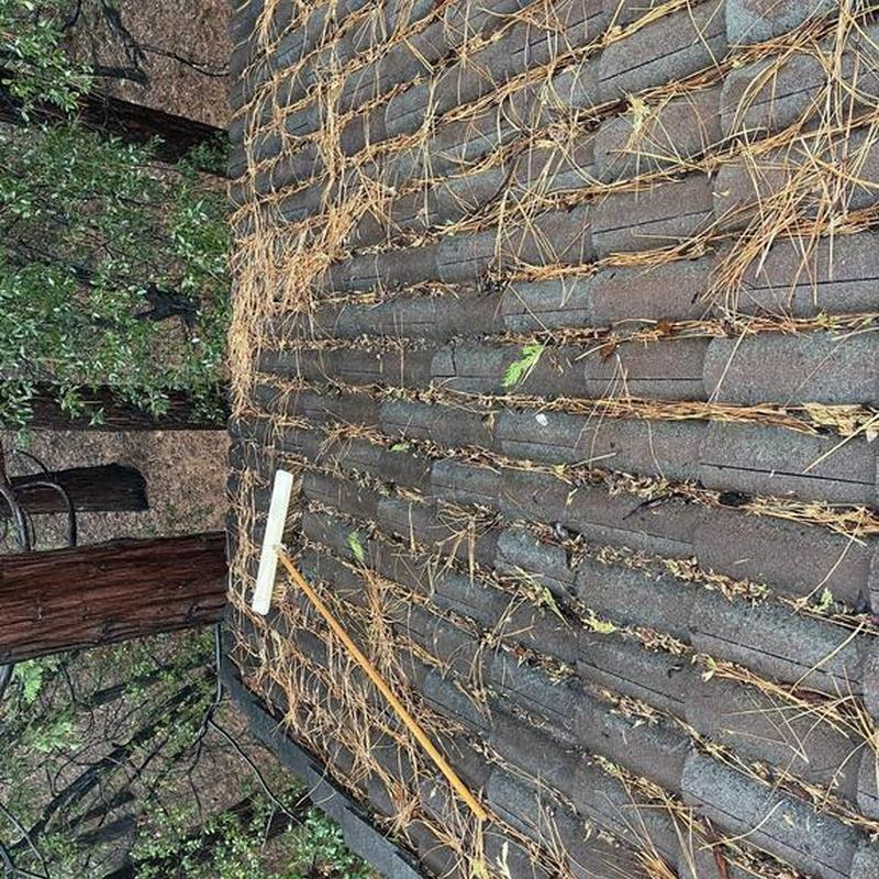 Clay tile roof with pine needle debris removal tool Clay tile roof with pine needle debris removal tool