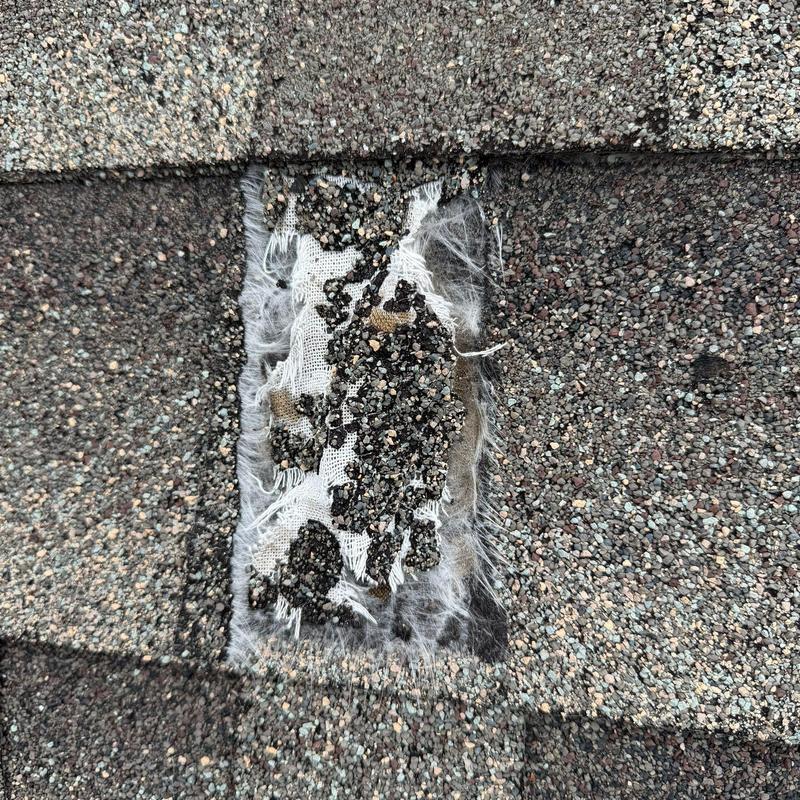 Asphalt shingle with granule loss from hail damage