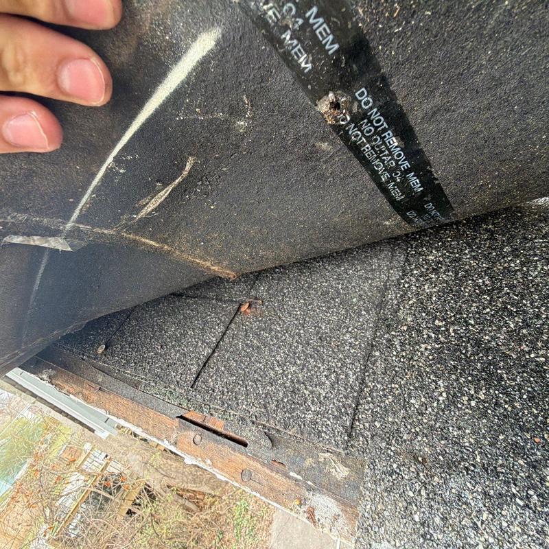 Roofing underlayment inspection showing loosened nails and shingles