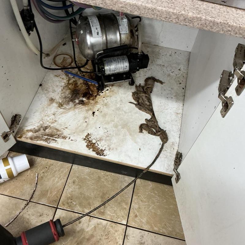 Floor drain clogged debris removal under sink Floor drain clogged debris removal under sink